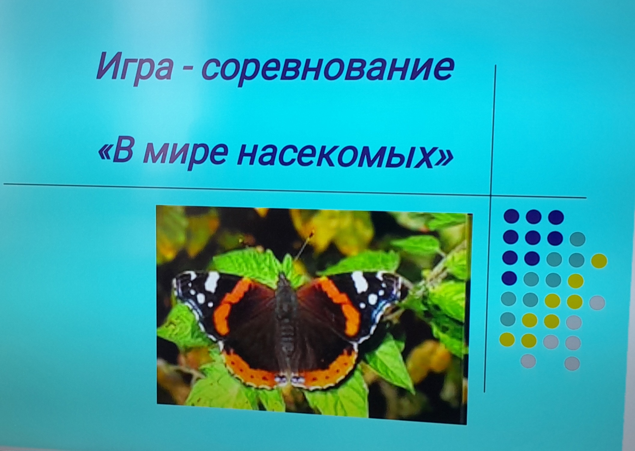 «В мире насекомых».
